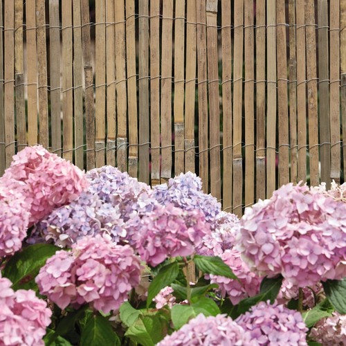 Bamboo slat screening - bamboo, roll
