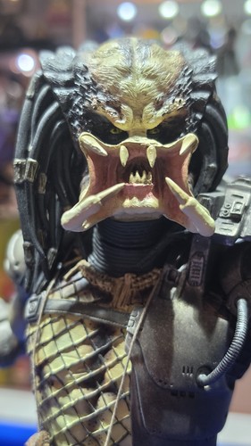 Sideshow collectibles predator - sideshow,