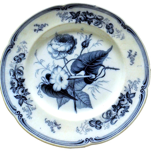 Antique ridgway morley plate - ridgway,