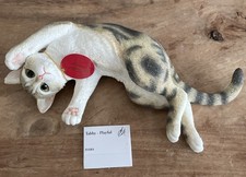 Country Artists Tabby Playful