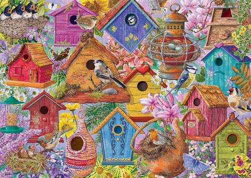 Falcon bird nest - bird, village