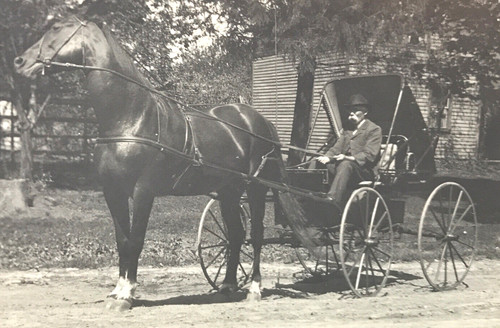 Rppc horse drawn - horse,