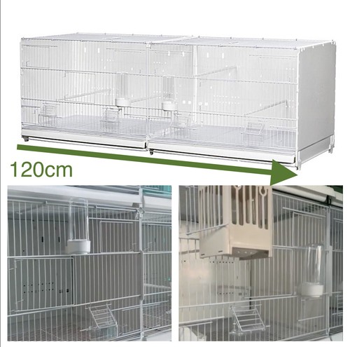 120cm finch canary budgie - canary,