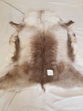 Reindeer Skin Rug Premium XL 59" X 53" . 150cm X 135cm Approx 