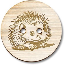 'African Pygmy Hedgehog'