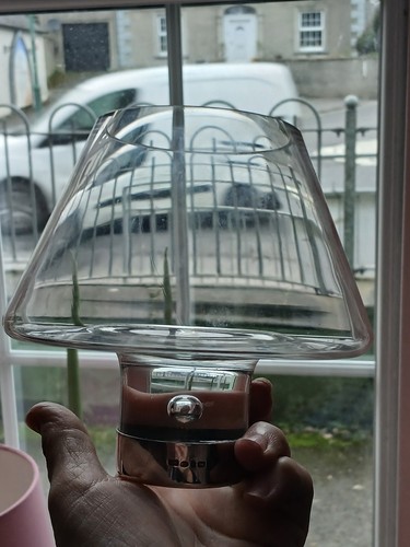 Stylish modern glass - , vase