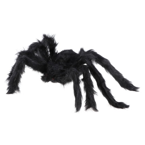 Halloween spider web - halloween,