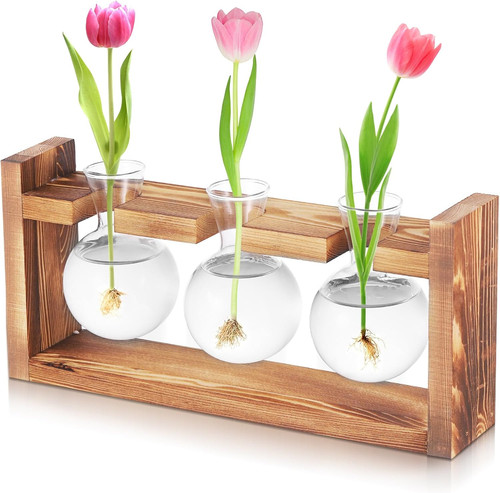 Propagation station plant - propagation, station,