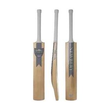 2024 Newbery Cricket Velo GT