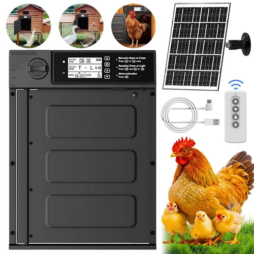 Automatic chicken coop - automatic,