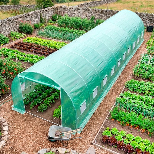 Polytunnel greenhouse poly - polytunnel,