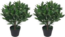 Pair of 50cm Bay Topiary Ball