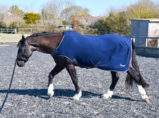 Rhinegold Fleece Horsewalker/Lunge Rug, Navy, 5'0" - 7'0"