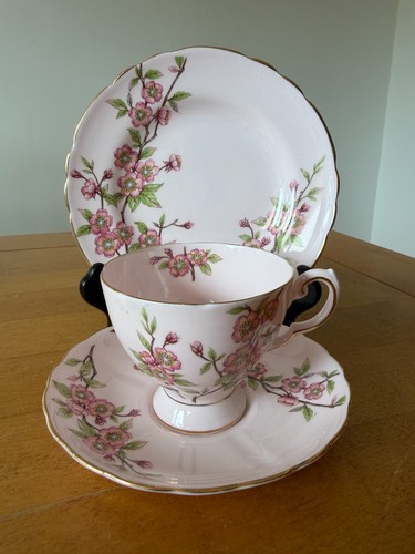 Vintage trio tuscan - plant, fine