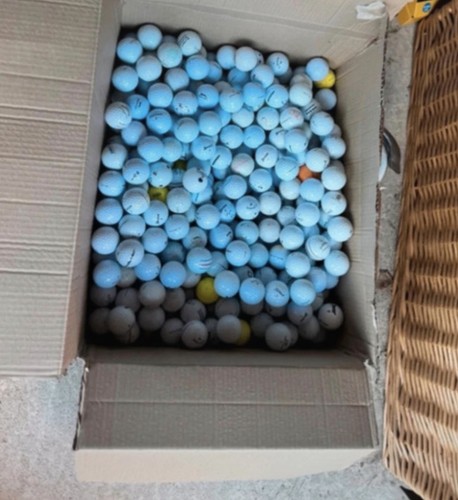 Mixed golf balls titleist - 25,