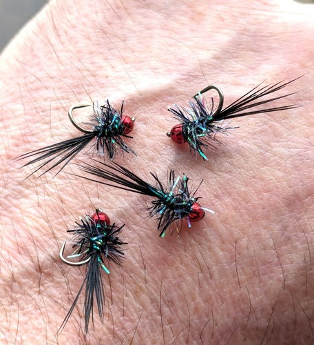 Straggle fritz spider fly - fritz,