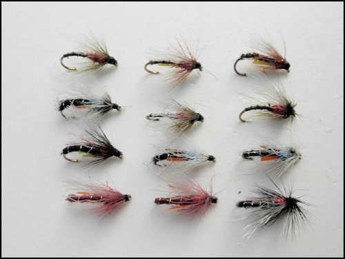 Emerger fishing flies pack - emerger, 12