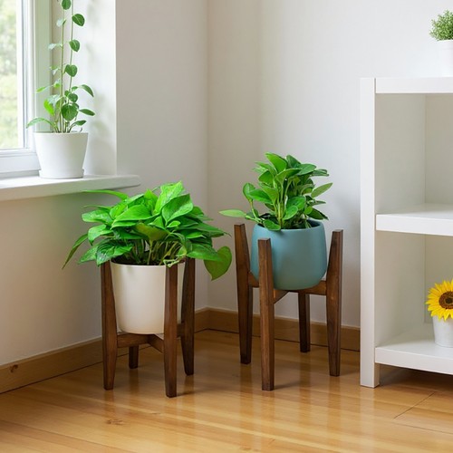 Adjustable plant stand - plant,