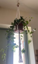 Macrame Plant Hanger Small White/Maroon - Display Your Houseplants in Style