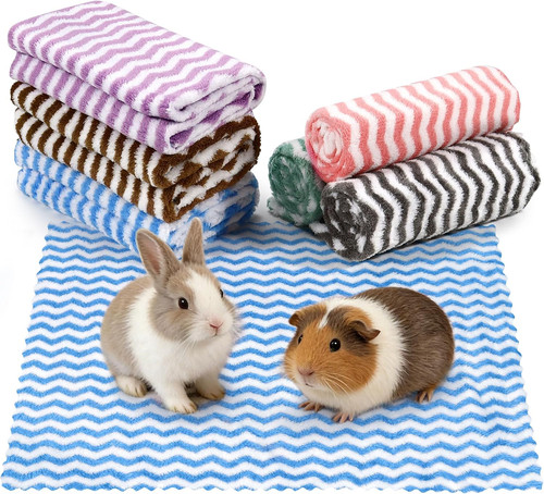 6pcs guinea pig - 6pcs,
