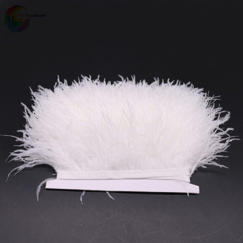 Meter ostrich feather - meter,