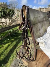 Used Grackle Bridle Full Size