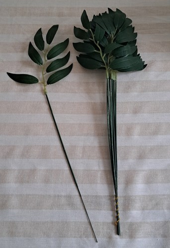 Willow eucalyptus stems - 24,