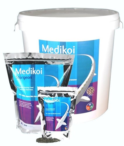 Labs medikoi sturgeon - medikoi, food