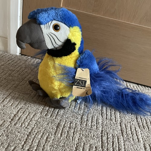 Zsl blue and gold macaw - and,