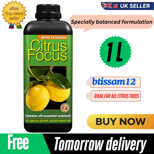 Citrus food plant tree feed - tree,