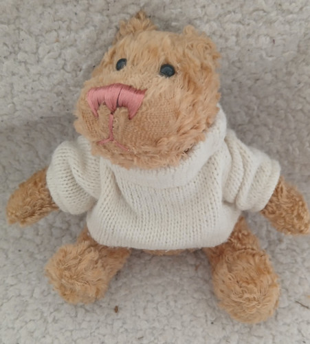 Vintage bhs small teddy - vintage, bear