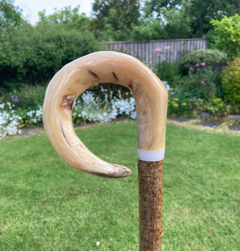 Rams horn crook - rams, handle