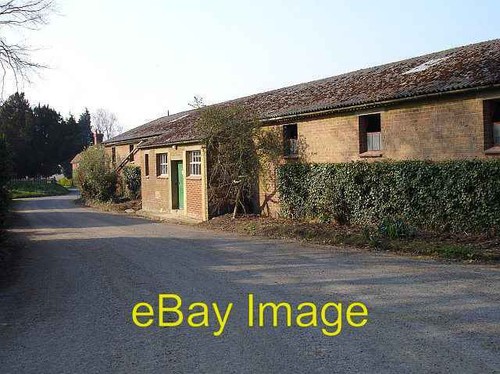 Photo 6x4 milking - 6x4, parlour