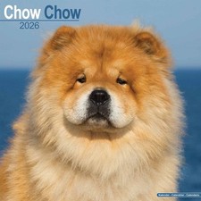 Chow Chow Calendar 2026 - Dogs - Month To View