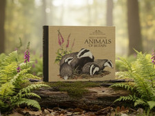 Readers Digest Field Guide Animals of Britain 1985 Nature Hardback Book