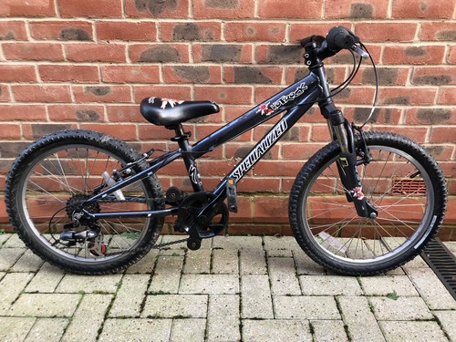 Specialized hotrock pokemon - pokemon,