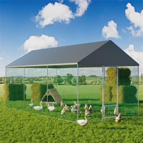 Xxl walk chicken run coop - l~xxl,