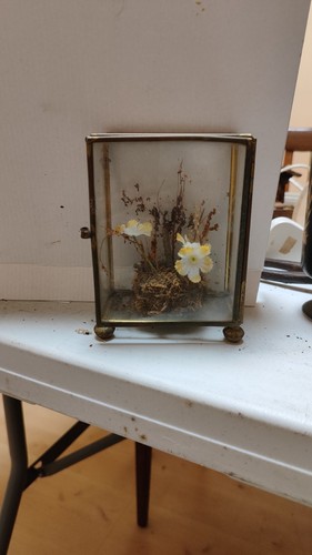 Vintage brass glass - glass, vitrine