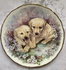 Porcelain Decorative Plate