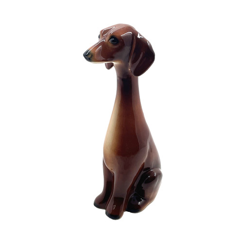 Jema holland dachshund - holland,