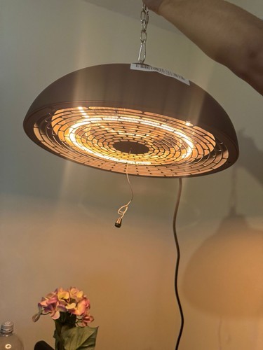 Ceiling mounted electric - electric, patio