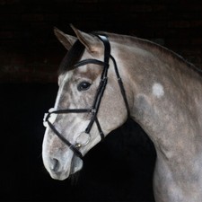 Cottage Craft Grackle Bridle Black