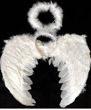 Large Angel Wings & Halo Set