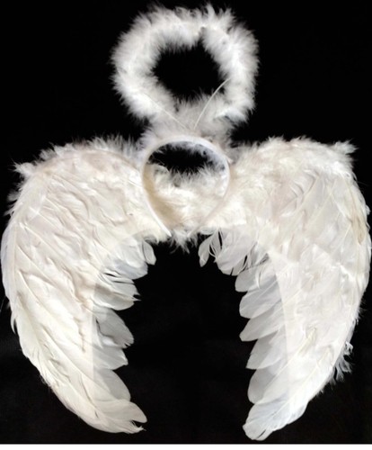 Large angel wings halo set - &,