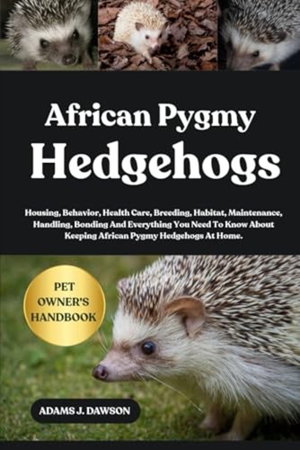 African pygmy hedgehogs - african,