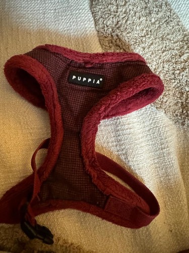 Dog harness small - dog,