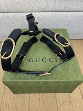 dog hairness gucci