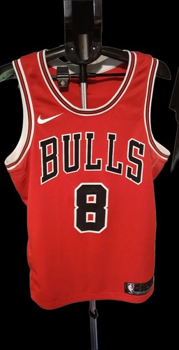 Lavine nike chicago bulls - lavine, vest