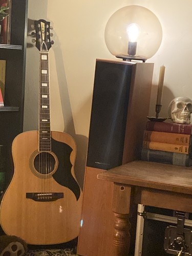 Eko ranger acoustic - ranger, guitar