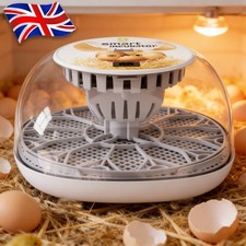 12 Eggs Fully Automatic Egg